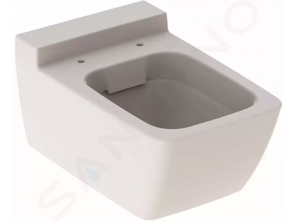 Geberit 500.500.01.1 - Závěsné WC, 540x350 mm, Rimfree, bílá