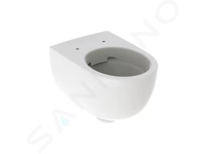 Geberit 500.694.01.2 - Závěsné WC, 530x355 mm, Rimfree, bílá