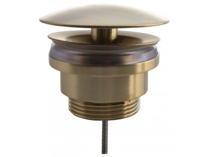 ud52596p.223338299396756