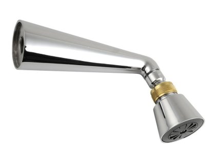 Nástěnná sprcha s otočným kloubem, chrom/zlato