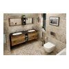 43607 treos 170 a2