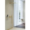 Grohe 28362GL0 - Silverflex sprchová hadice 125 cm, Cool Sunrise