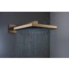 Hansgrohe 24331140 - Hlavová sprcha, 26x26 cm, EcoSmart, kartáčovaný bronz