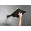 Hansgrohe 24331140 - Hlavová sprcha, 26x26 cm, EcoSmart, kartáčovaný bronz