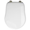 RETRO WC sedátko Soft Close, polyester, bílá/bronz