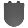 PACO WC sedátko, SLIM, Soft Close, Easy Take, šedá mat