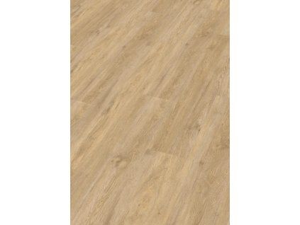 RD 200 SILENCE RIGID VOGUE 20195