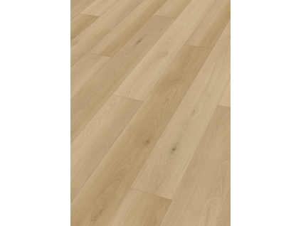 image 2026 04 18 124946728