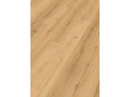 image 2026 04 18 125227798