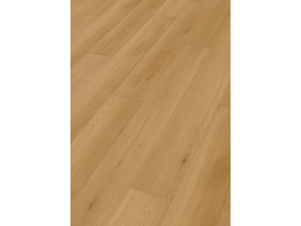 image 2026 04 18 125322393
