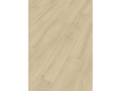 image 2026 04 18 131032370
