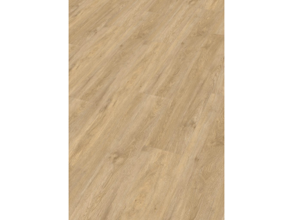 image 2026 04 18 132321000