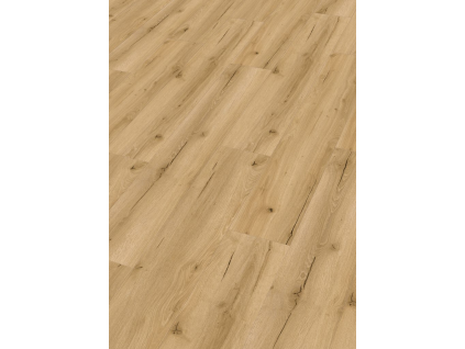 image 2026 04 18 132443184