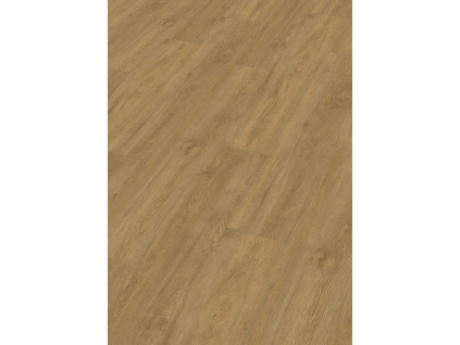 image 2026 04 18 132613983