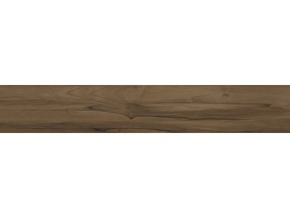 Dream wood brown RA0020 | Dlažba hnědá 120x20 cm