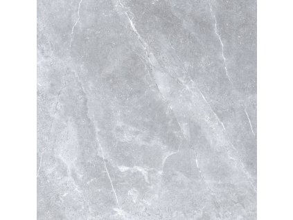 Stone grey RA2500 | Dlažba šedá 60x60 cm