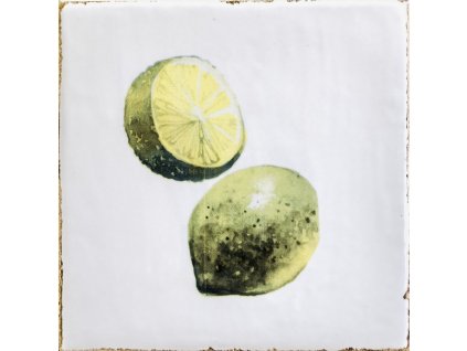 FORLI obklad Fruits Decor Mix 15x15