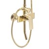 Sprchový set REA Maximus  Gold