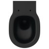 Ideal Standard Connect E0054V3 | WC Závěsné 36x54 cm, černé 3