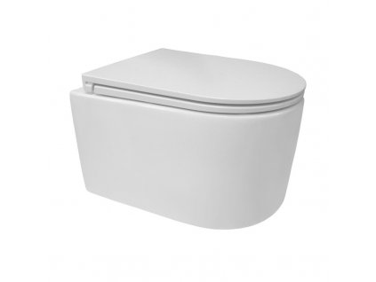 Mereo WC závěsné kapotované, RIMLESS, 495x360x370, keramické, vč. sedátka CSS113S - VSD84S1