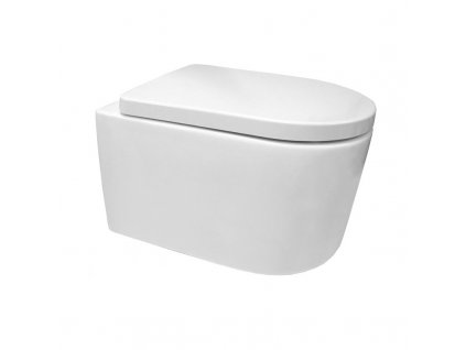Mereo WC závěsné kapotované, RIMLESS, 495x360x370, keramické, vč. sedátka CSS115S - VSD84S2