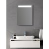 Amirro Zrcadlo na zeď chodbu do pokoje ložnice předsíně koupelny LUNA LED - 60 x 80 cm s LED podsvíceným pruhem 901-022