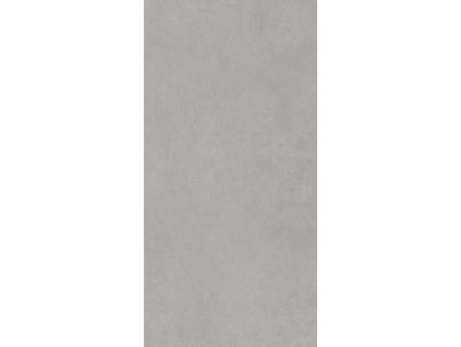 84313 paradyz dlazba intero silver sat 29 8x59 8 par 137355