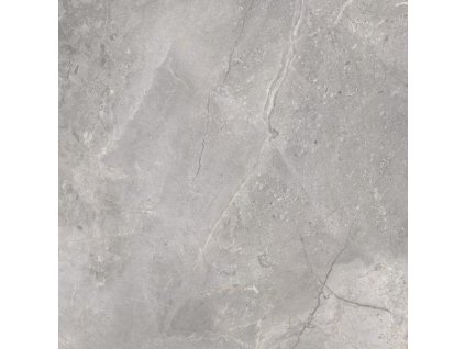 47710 cerrad dlazba masterst silv mat 119 7x119 7x0 6 cer 157519