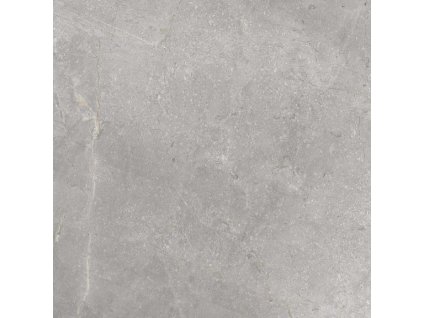 47800 cerrad dlazba masterst silv pol 59 7x59 7x0 8 cer 157559
