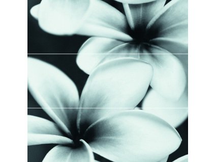 96004 cersanit flower composition 75x75 cer od334 005