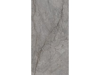 98416 paradyz dlazba visioner grey poler rek 60x120x0 9cm par 161295