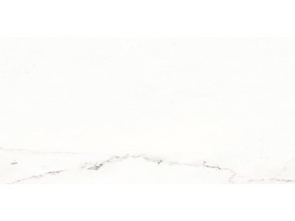 Obklad Rako Vein bílá 30x60 cm lesk WAKVK133.1