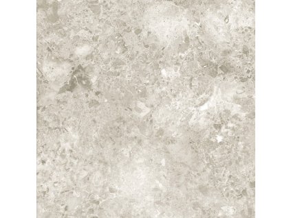 DAK62123.1