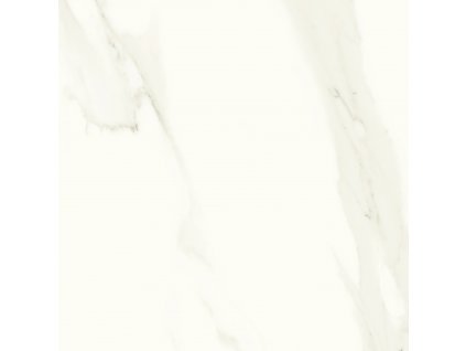 DAL63830.1