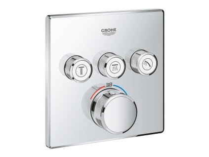 G29126000