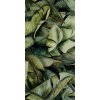 87607 paradyz dekor natura szklane leaf a 30x60 par 155114