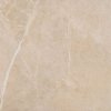 88843 paradyz dlazba ibis beige 60x60 par 160382