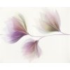 97210 cersanit loris white inserto flower 40x50 cer wd398 005