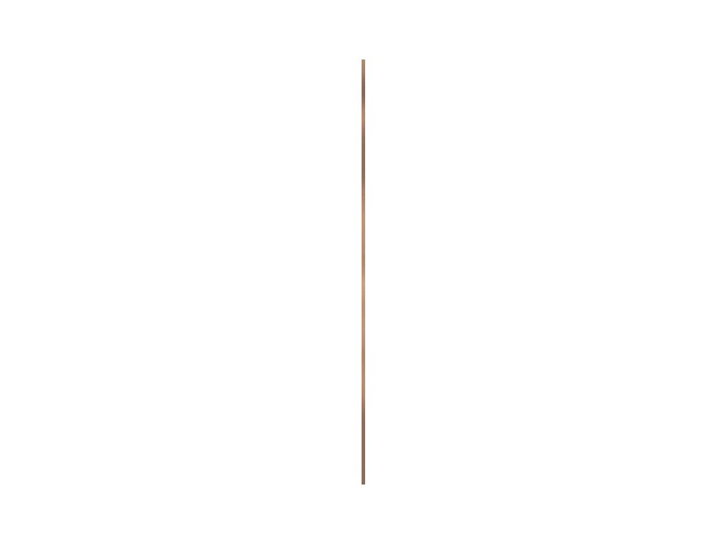29304 listela univerzalni kovova paradyz gold 1x89 8 cm