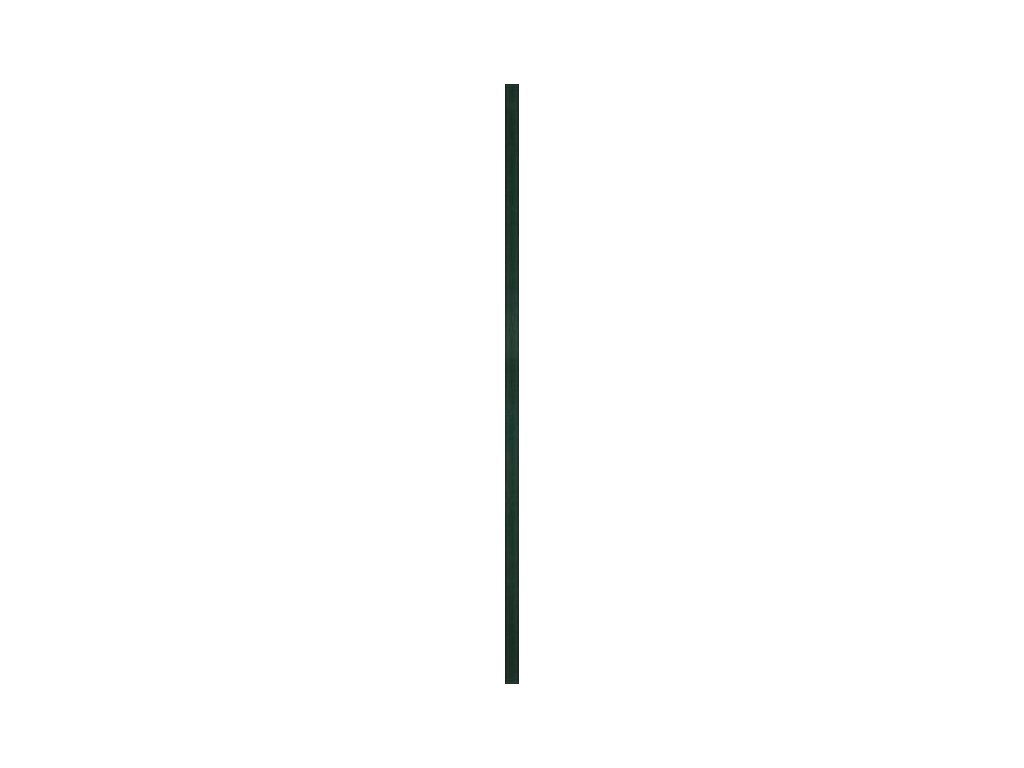 29388 listela univerzalni sklenena paradyz green 2 3x89 8 cm