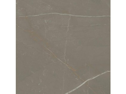 25086 dlazba linearstone taupe rektifikovana mat 59 8x59 8 cm