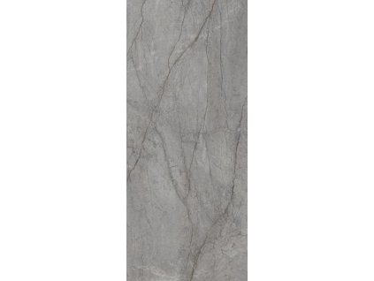 29853 dlazba visioner grey rektifikovana lesk 120x280 cm