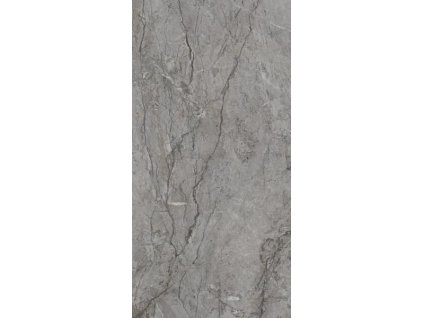 29862 dlazba visioner grey rektifikovana lesk 60x120 cm
