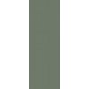 26406 obklad nightwish green rektifikovany 25x75 cm