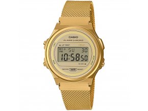 CASIO A171WEMG 9AEF