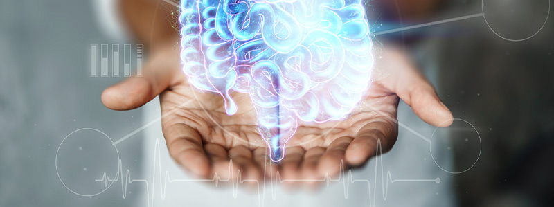 Jak pracují bakterie