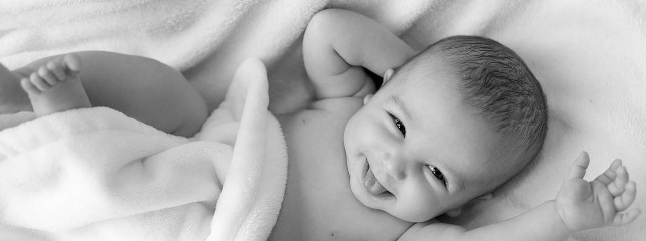 Probiotika a jejich vliv na osídlování střevní mikroflóry