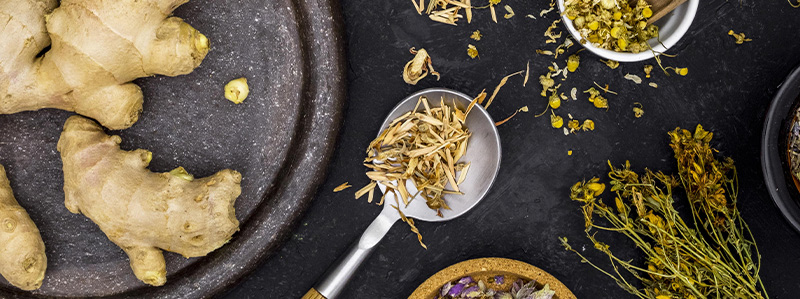 Síla bylin z přírody