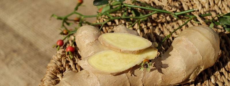 Proč jsou tekutá probiotika účinnější