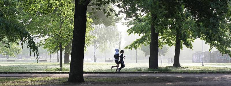 Jak a kdy užívat probiotika